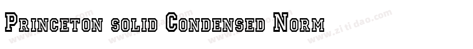 Princeton solid Condensed Normal字体转换